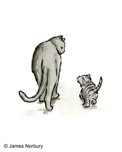 die-katze-die-nach-weisheit-sucht-kunstundspiel-3 - kunstundspiel 