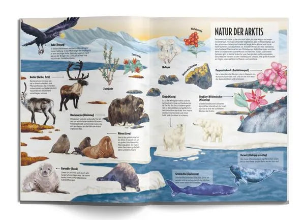 die-welt-der-inuit-kunstundspiel-5 - kunstundspiel 