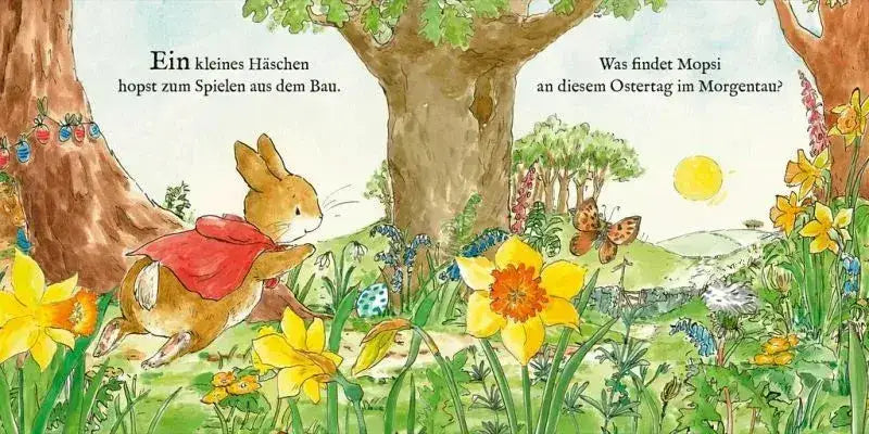 Die Welt von Peter Hase - Das bunte Osterfest - 9783737372213 Sauerländer Verlag