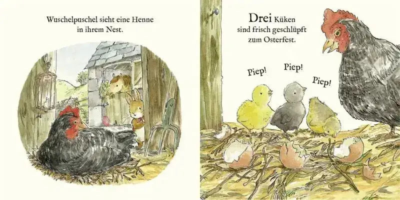 Die Welt von Peter Hase - Das bunte Osterfest - 9783737372213 Sauerländer Verlag