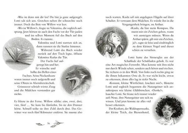 ein-madchen-namens-willow-zwischenzeit-bd-6-kunstundspiel-5 - kunstundspiel 