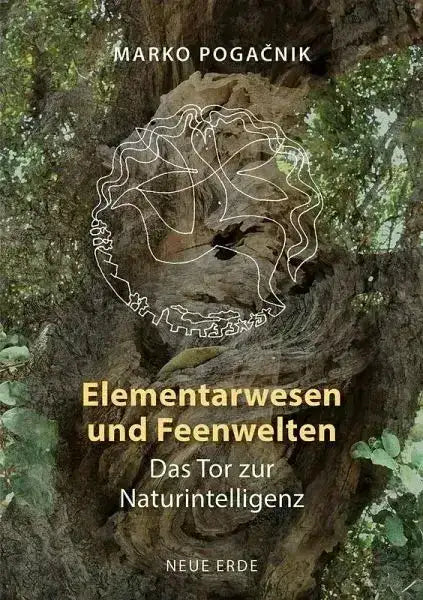 Elementarwesen und Feenwelten - Taschenbuchausgabe - 9783890608839 Neue Erde