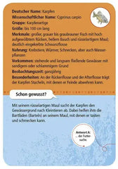 Expedition Natur 50 Tiere & Pflanzen an Bach & Teich entdecken und bestimmen - 9761 Moses