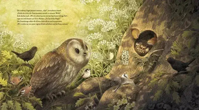 Fenja und der Wirbel im Feenwald - 9783480239986 Esslinger Verlag