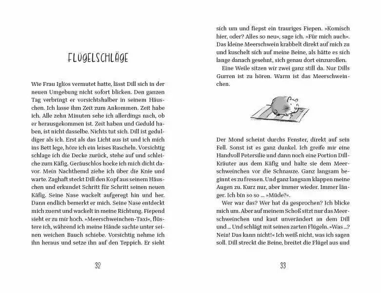 Flugstunde mit Meerschwein DTV