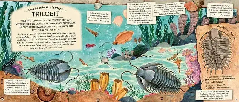 Fossilien - Schätze von Ammoniten bis zum T. Rex - 9783957289391 Knesebeck