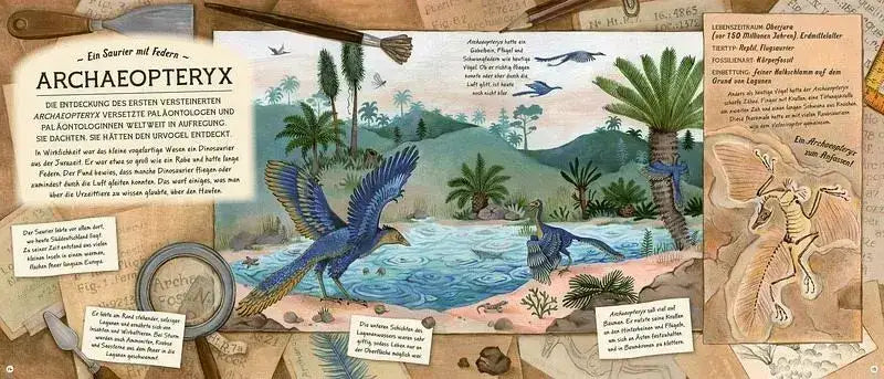 Fossilien - Schätze von Ammoniten bis zum T. Rex - 9783957289391 Knesebeck