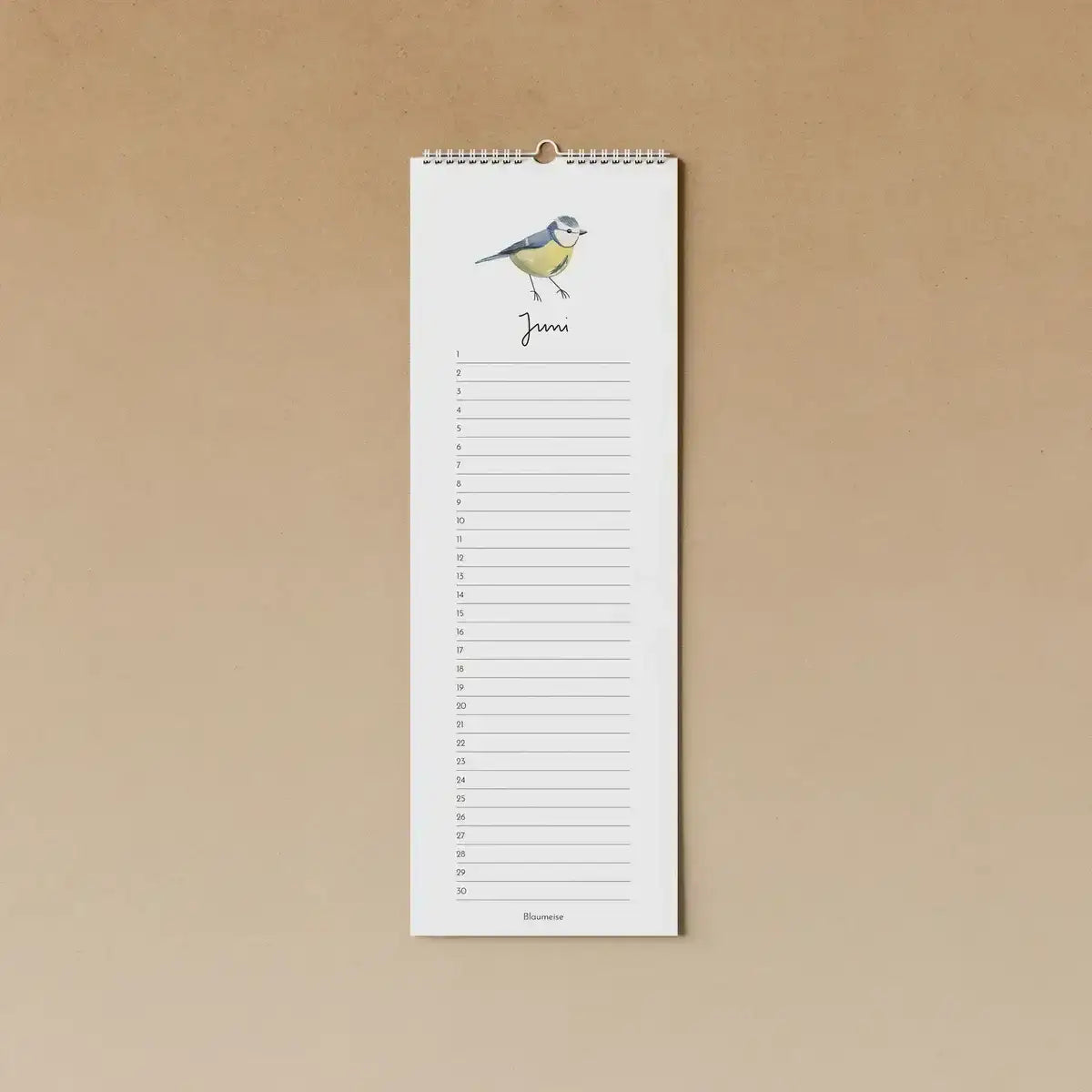 Geburtstagskalender - Gartenvögel - 91288240 tucán y limón