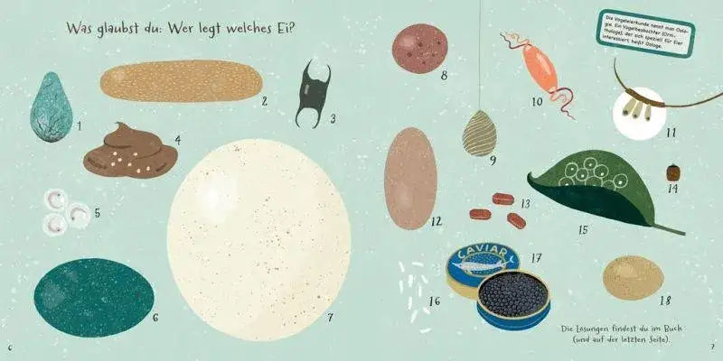 Hartgekochte Fakten über Eier Aladin Verlag