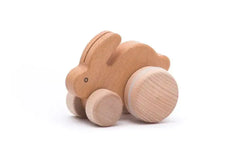 Hase klein natur