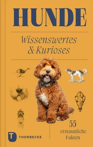 hunde-kunstundspiel-1 - kunstundspiel 