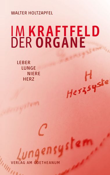 Im Kraftfeld der Organe (Leber Lunge Niere Herz)