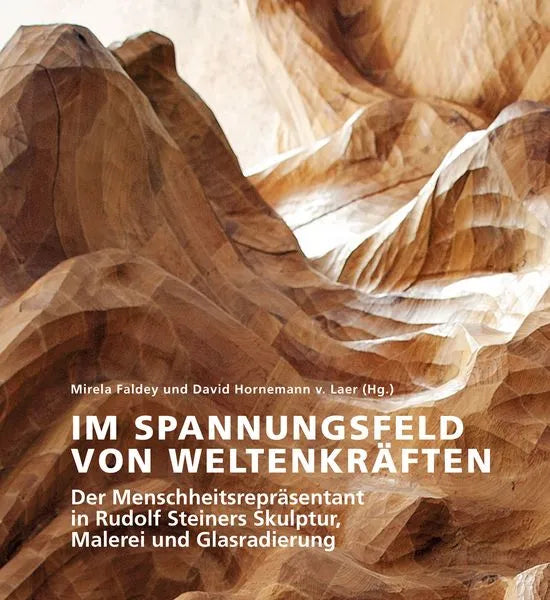 im-spannungsfeld-von-weltenkraeften-paperback-mirela-faldey - kunstundspiel 