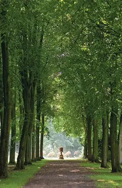 In einem fremden Park - 9783458645078 Insel Verlag