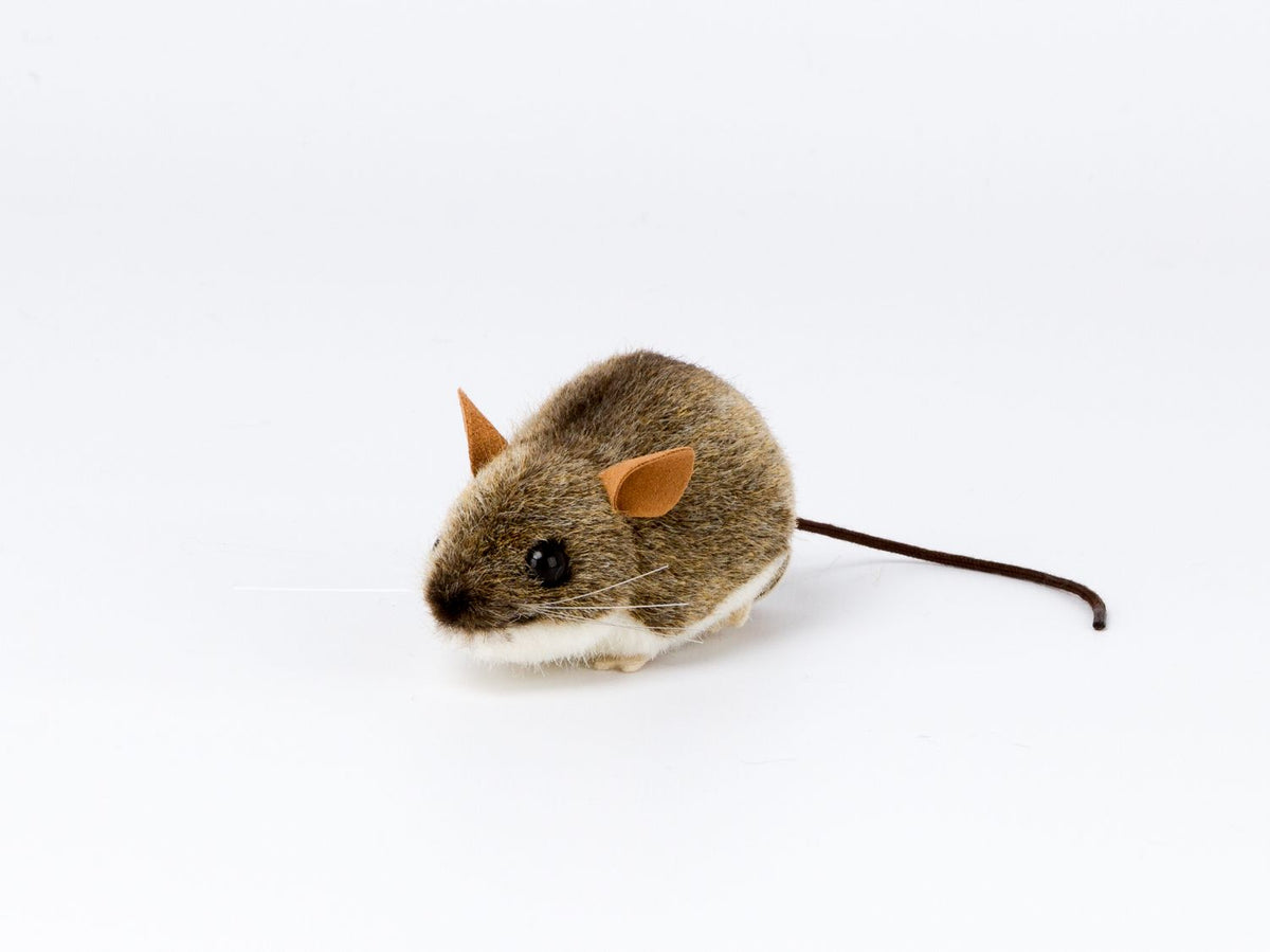 Waldmaus