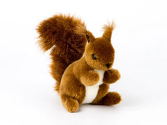 Eichhörnchen klein
