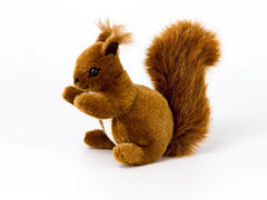 Eichhörnchen klein
