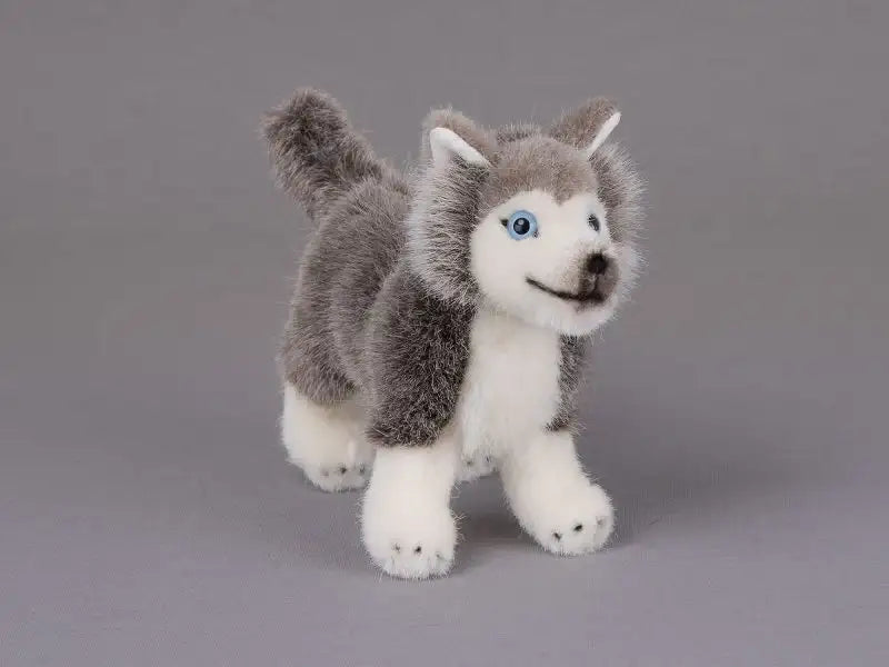 Huskywelpe