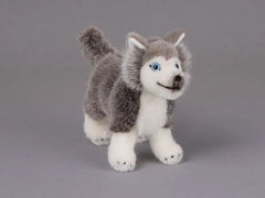 Huskywelpe