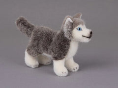 Huskywelpe