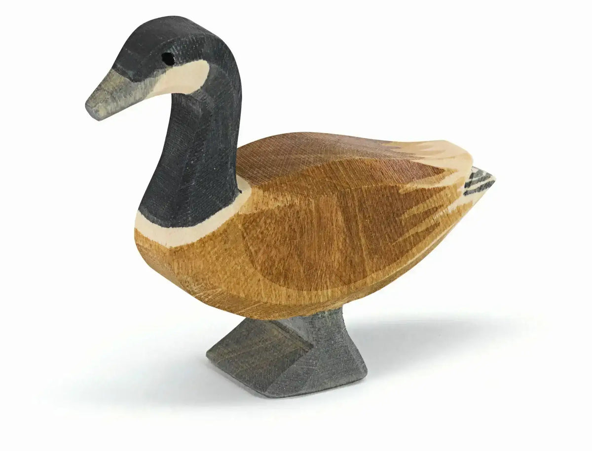Kanadagans stehend 22701