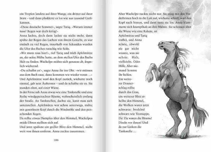 Manchmal muss man Pferde stehlen Oetinger Verlag