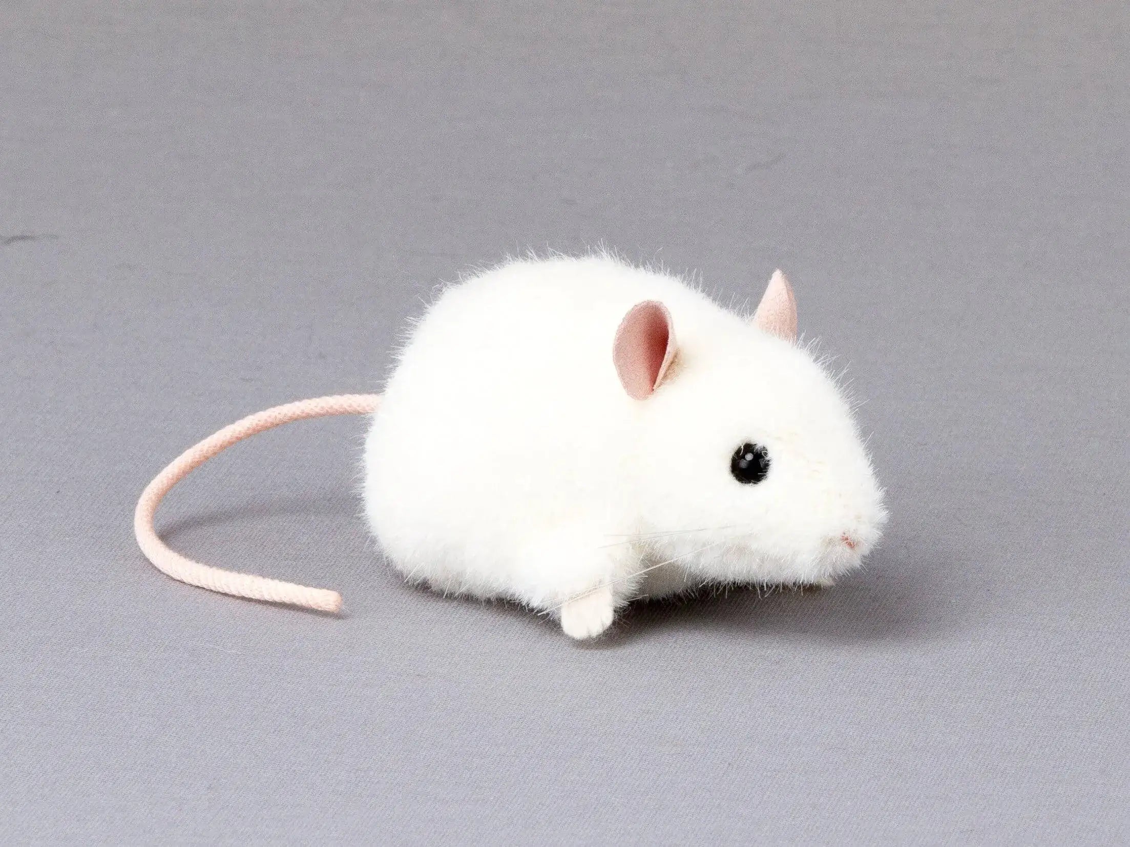 Maus Pieps weiß Kösen
