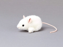 Maus Pieps weiß Kösen