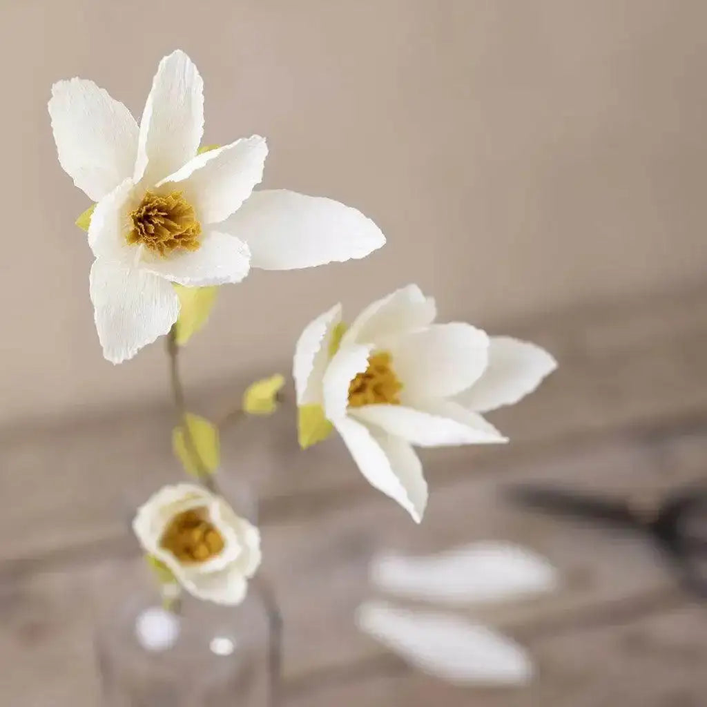 Mini Kreativ Set Krepp - Magnolien cchobby