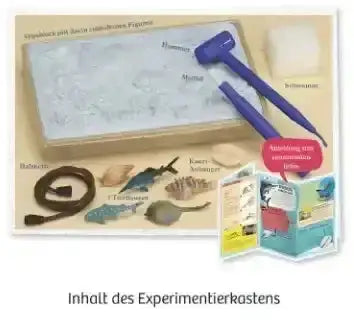 Mitbring Experiment: Ausgrabung Meeresabenteuer Kosmos Spieleverlag