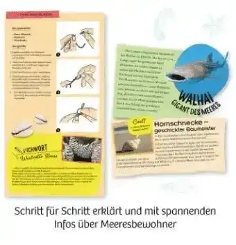 Mitbring Experiment: Ausgrabung Meeresabenteuer Kosmos Spieleverlag