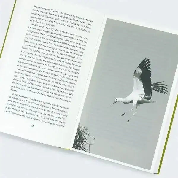 Move! - 9783446281103 Hanser Verlag