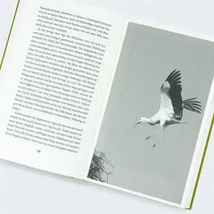 Move! - 9783446281103 Hanser Verlag