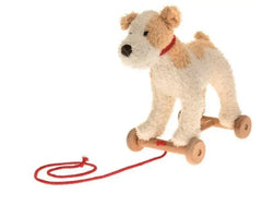 Nachzieh Hund Eliot Egmont