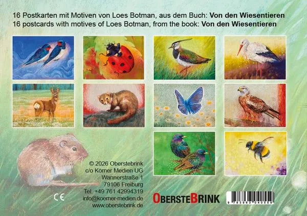 von-den-wiesentieren-ein-postkartenbuch-gebundene-ausgabe-loes-botman_2 - kunstundspiel 