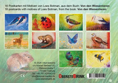 von-den-wiesentieren-ein-postkartenbuch-gebundene-ausgabe-loes-botman_2 - kunstundspiel 