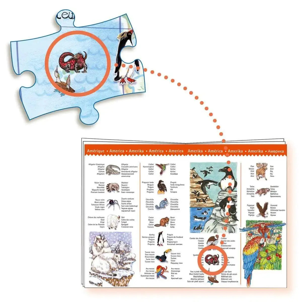 Puzzle 100 Teile - Tiere der Erde + Buch Djeco