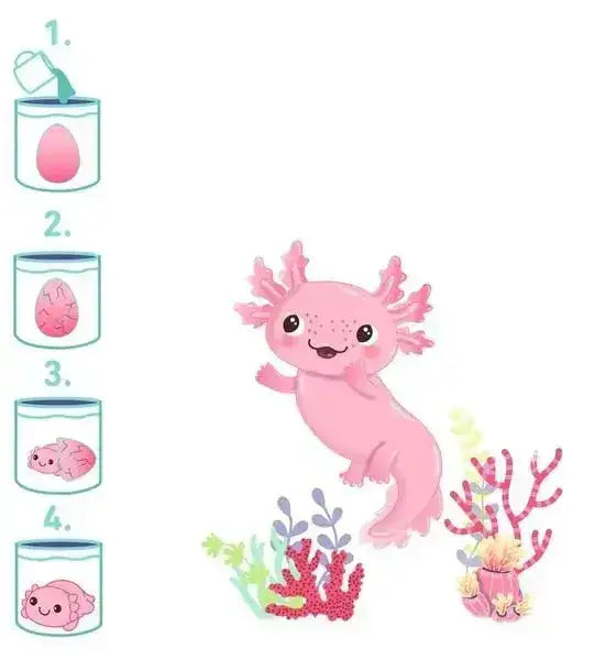 Schlüpfender Axolotl - 38241 Moses