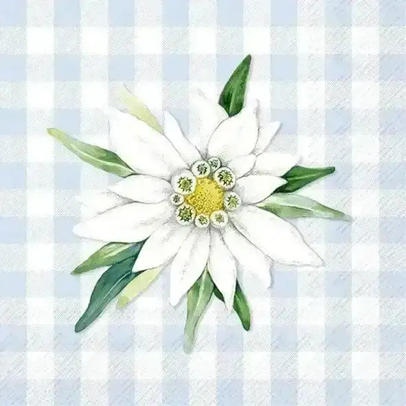 Servietten klein - Edelweiß und Gentian IHR