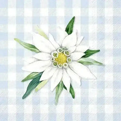 Servietten klein - Edelweiß und Gentian IHR