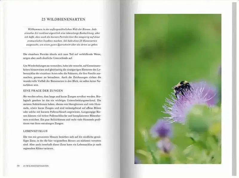 Unsere Wildbienen - 9783784357935 Landwirtschaftsverlag