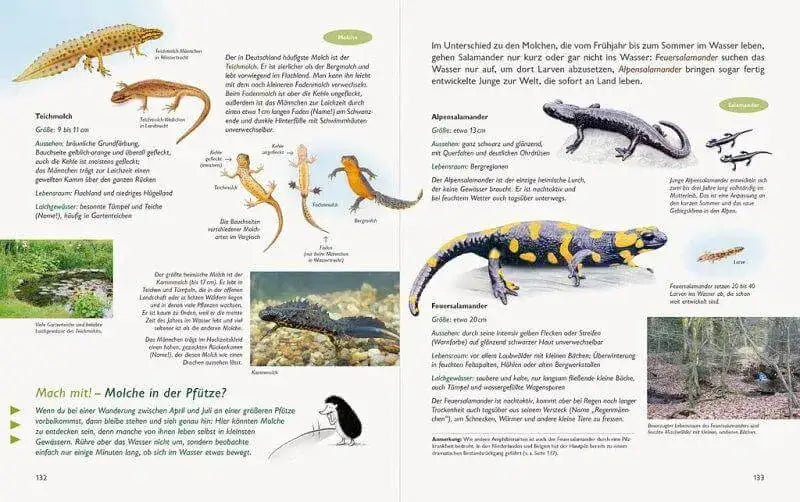 Unserer Natur auf der Spur Natur-Verlag Wawra