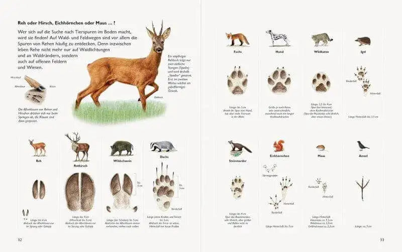 Unserer Natur auf der Spur Natur-Verlag Wawra