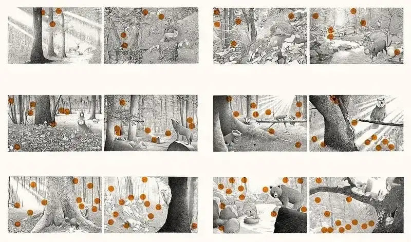 Versteckt im Wald - 9783772531989 Verlag Freies Geistesleben