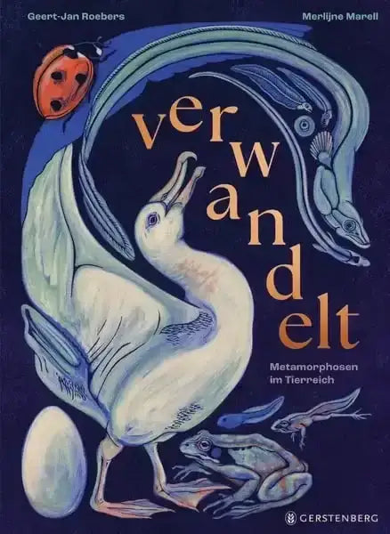 verwandelt-kunstundspiel-1 - kunstundspiel 