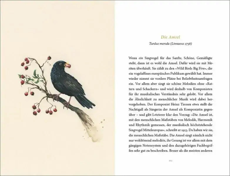Vom Glück des Vogelgesangs - 9783458195481 Insel Verlag