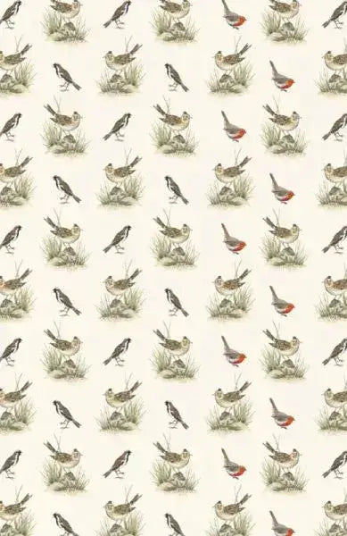 Vom Glück des Vogelgesangs - 9783458195481 Insel Verlag