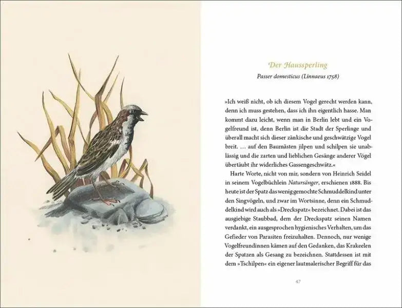 Vom Glück des Vogelgesangs - 9783458195481 Insel Verlag