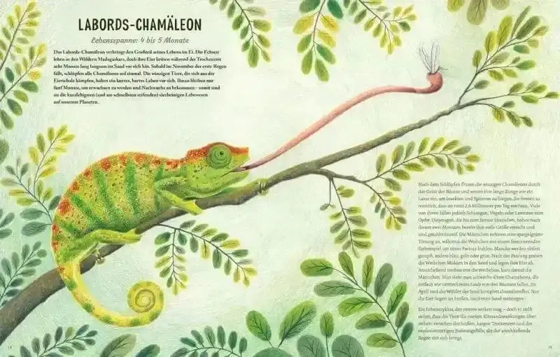 Von Eintagsfliege bis Grönlandwal Carlsen Verlag