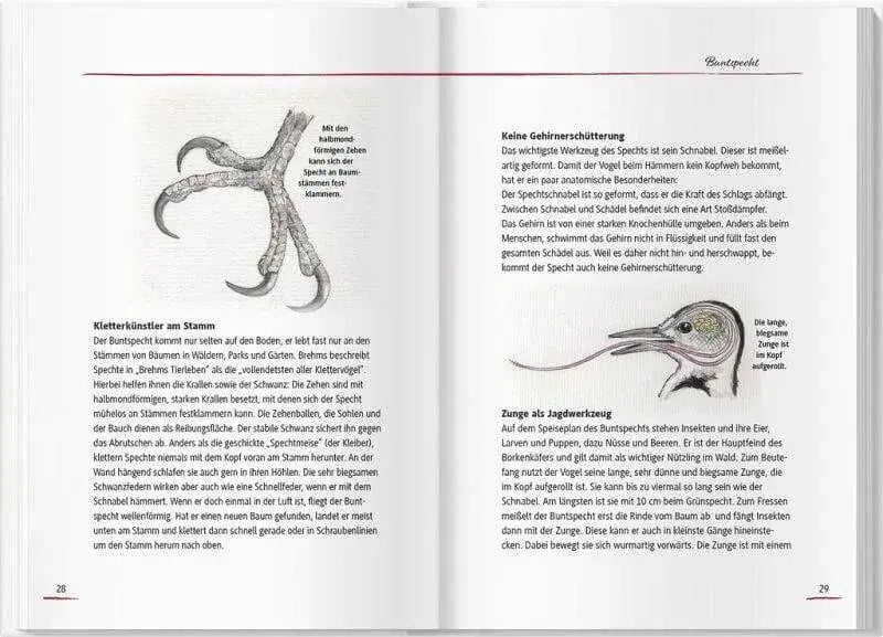 Von Elstern, Eichhörnchen und Erdhummeln Landwirtschaftsverlag